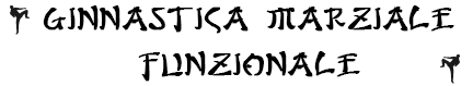 Ginnastica Marziale Funzionale